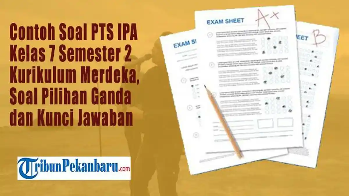 20 Latihan Soal IPA Kelas 7 SMP MTs Kurikulum Merdeka Semester 2 Bab 9 20 Latihan Soal IPA Kelas 7 SMP MTs Kurikulum Merdeka Semester 2 Bab 9
